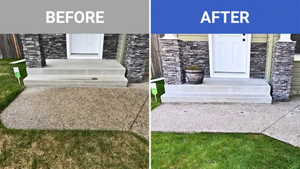 Before And After Image (17)